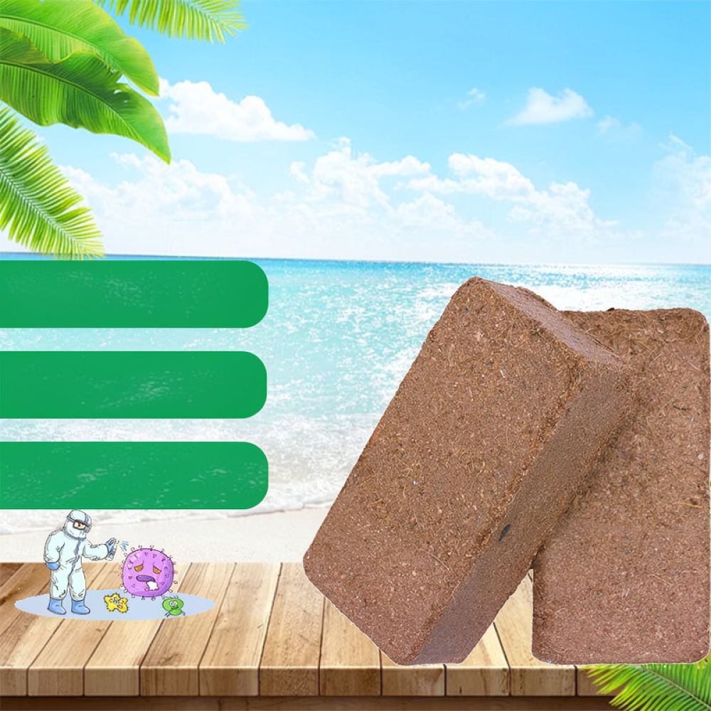 Premium Dehydriertes Kokosfase – Substrate Coconut Fiber Bewertung und Preis