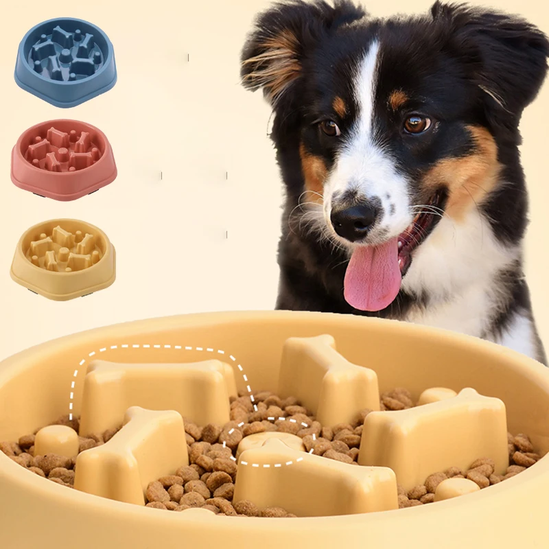 Langsamfütterungs-Napf für Hun – Royal Canin Food Medium Bewertung und Preis