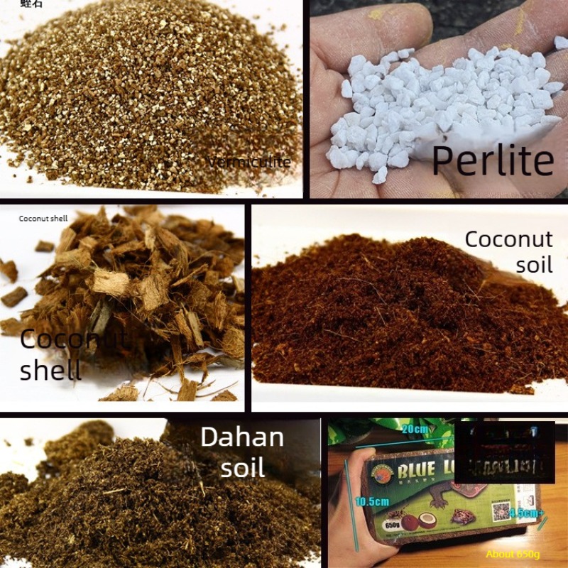 Kokos-Substrat für Reptilien,  – Substrate Coconut Fiber Bewertung und Preis