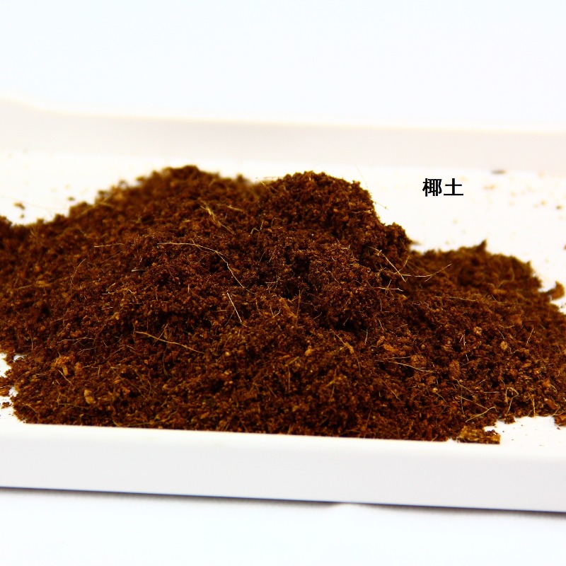 Kokos-Substrat für Reptilien,  – Substrate Coconut Fiber Bewertung und Preis